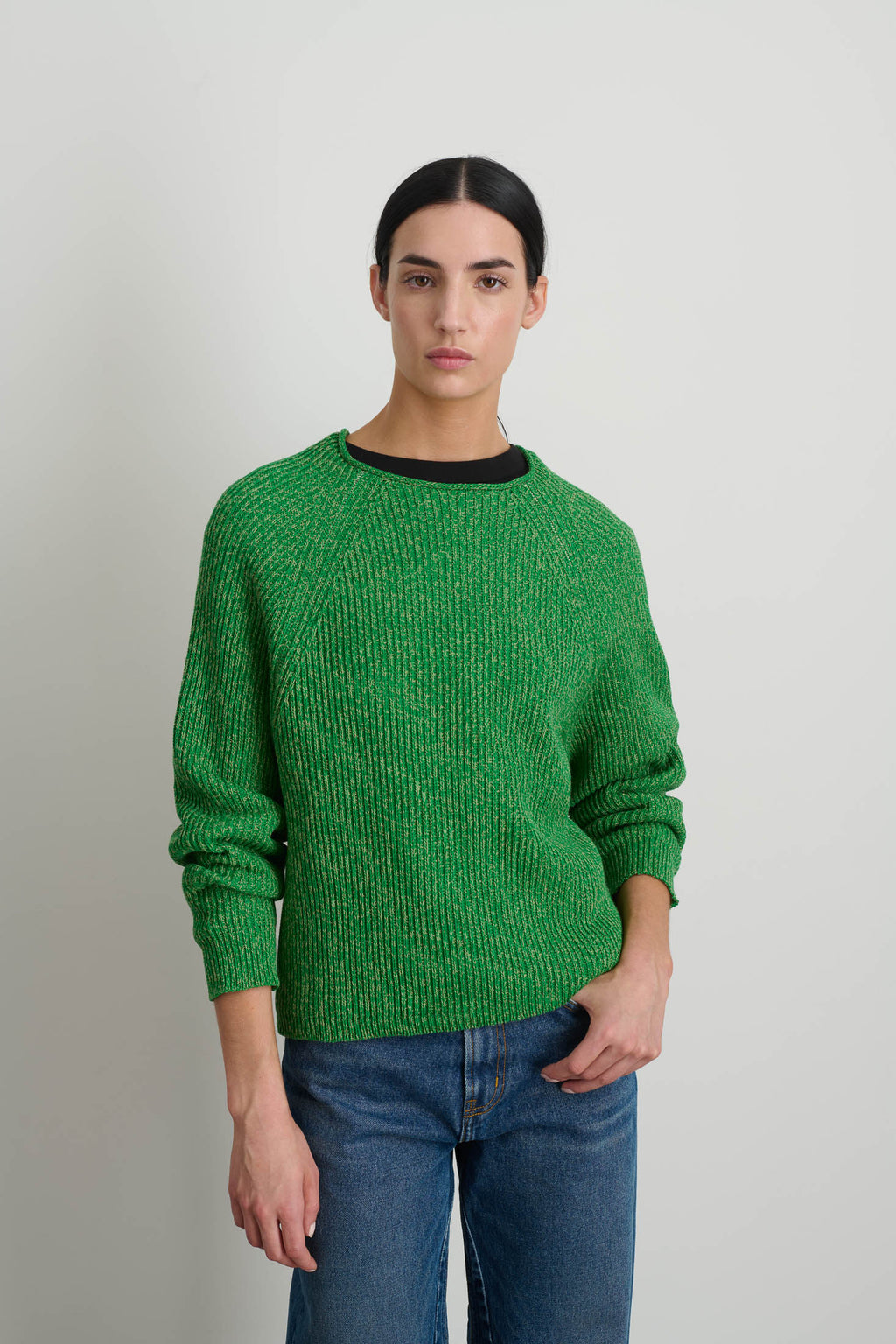 Roll Neck Shaker Stitch Pullover Green / Peach